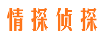 鲁山外遇出轨调查取证